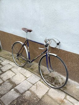 Favorit - 3