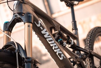 S Works Stumpjumper Evo - 3