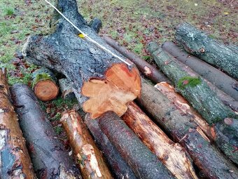 Třešňové fošny - 3