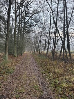 Prodám pozemky v k.ú. Břehy - 3