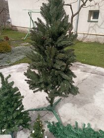 Umělé vánoční stromky - 3