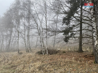 Prodej, les, 20974 m2, Ústí u Staré Paky - 3