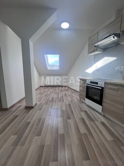 Benátky nad Jizerou, pronájem podkrovního bytu 1+1, 44m2, ok - 3