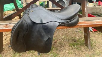 Prodám kentaura Apollona - 3