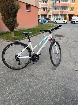 Kolo Kilimanjaro - 3