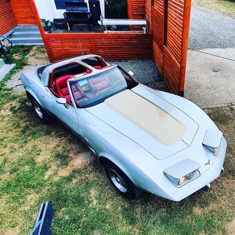 Corvette c3 stingray convertable 1979 - 3