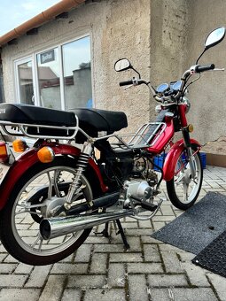 kentoya twin cup 50 4t - 3