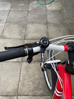 Kolo Specialized.Velikost rámu 19. Vel.(L) - 3
