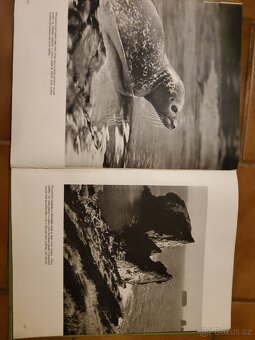 Zvířata a voda - 3