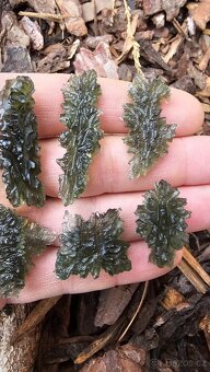 Vltavíny Besednice - 3