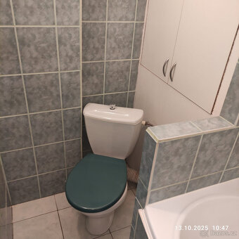 Pronajmu 2+1 v Bruntále - 3