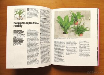 POKOJOVÉ ROSTLINY - Halina Heitz - 3