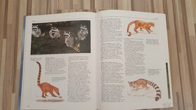 Encyklopedie zvířat - 3