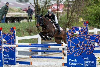 Valach do sportu - 3