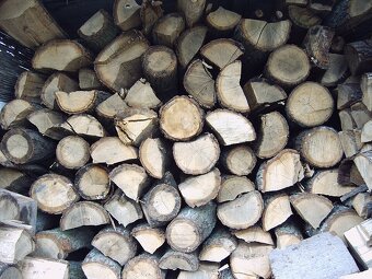 Palivové dřevo,dříví,všechny druhy AKCE SUCHÉ - 3