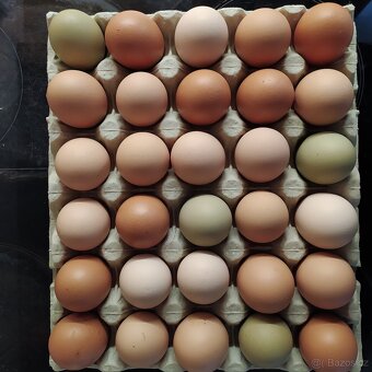 Domácí slepičí vajíčka - 3