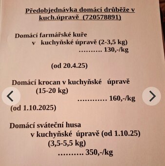 Domácí Bio kuřata, krocani, husy - 3