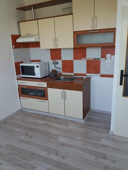 Pronájem bytu 1+kk - 3