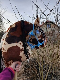 Hobby horse - 3