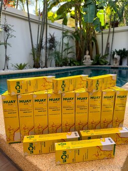 Prohřívací krémy MUAY NAMMAN - 3