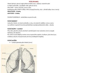 Maturitní otázky biologie - 3