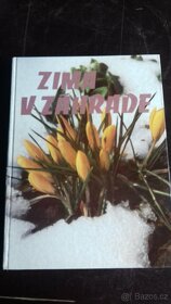 Jaro ,podzim, Zima na zahradě - 3