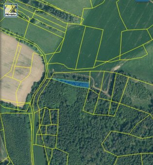 Prodám lesní pozemek Čepřovice - 3