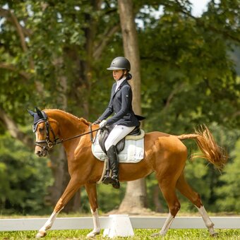 Sportovní pony klisna - 3