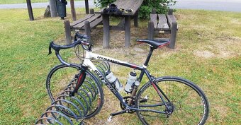 Sirer 502 Campagnolo - 3
