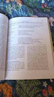 Ruce světla - Barbara Ann Brennan - 3