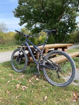 Specialized Stumpjumper - 3