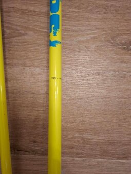 Hůlky sjezdové - 3