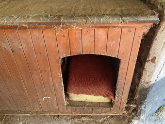 Psí bouda - Labradorský retrívr - 3