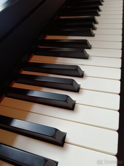 Elektrické piano Roland rp 102 - 3