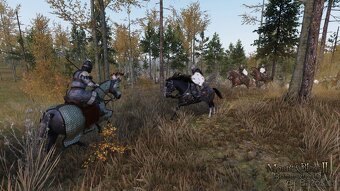 Mount & Blade II: Bannerlord - Steam key - 3