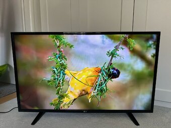 Philips TV 4K 139cm - 3