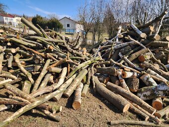 Palivové dřevo - 3