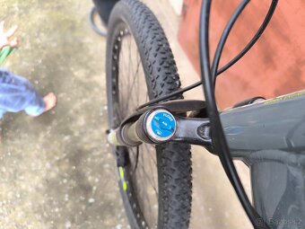 Focus Black Forest 29" - 3