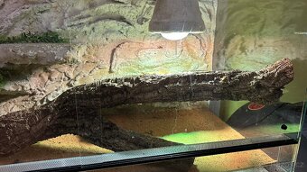 Nové terarium - 3