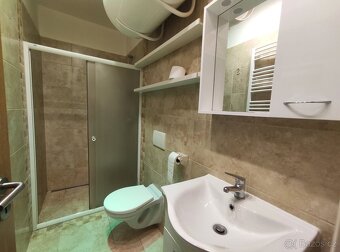 Pronájem bytu 1+1 41 m² - 3