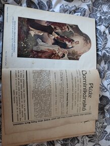 Růže dominikánská - 3