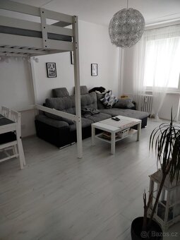 Pronájem bytu 2+1 58 m² - 3