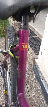 Horské kolo 24'' - 3