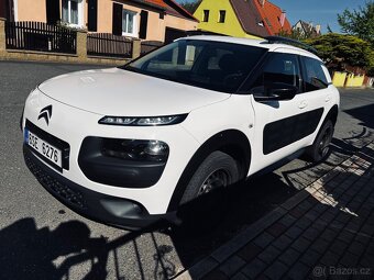 C4 Cactus - 3