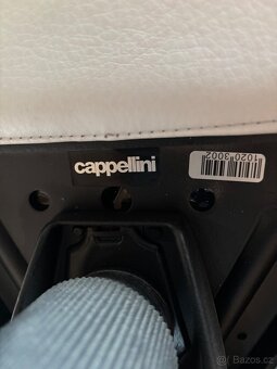 Designová židle Cappellini Lotus - 3