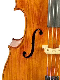 Mistrovské violoncello 4/4 model Gagliano - 3