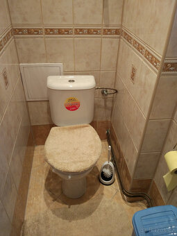 Pronajmu byt 3+1 v Ostrově - 3