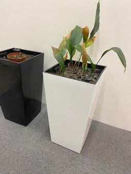 Květináč velký, lesklý, bílý PC 2500,- - 3