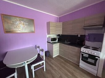 Strašice u Rokycan, prodej bytu 2+kk po rekonstrukci - 3