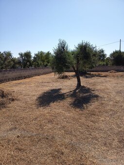 Krásný oplocený pozemek 600 m² jen 700 m od pláže Campomarin - 3
